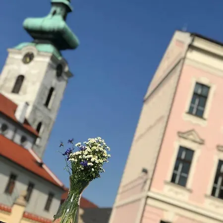 Yellow Apartment Ceske Budejovice